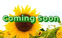 只今、準備中です。