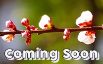 只今、準備中です。