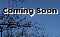 只今、準備中です。