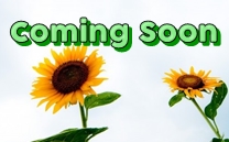 只今、準備中です。