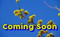 只今、準備中です。